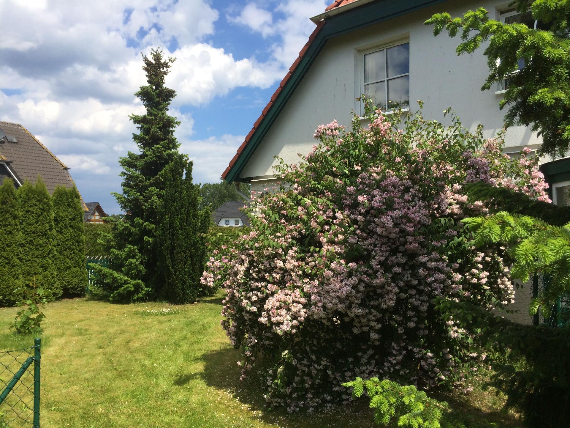 Ferienwohnung für 4 Personen ca. 65 m² i Ferienhaus in Trassenheide