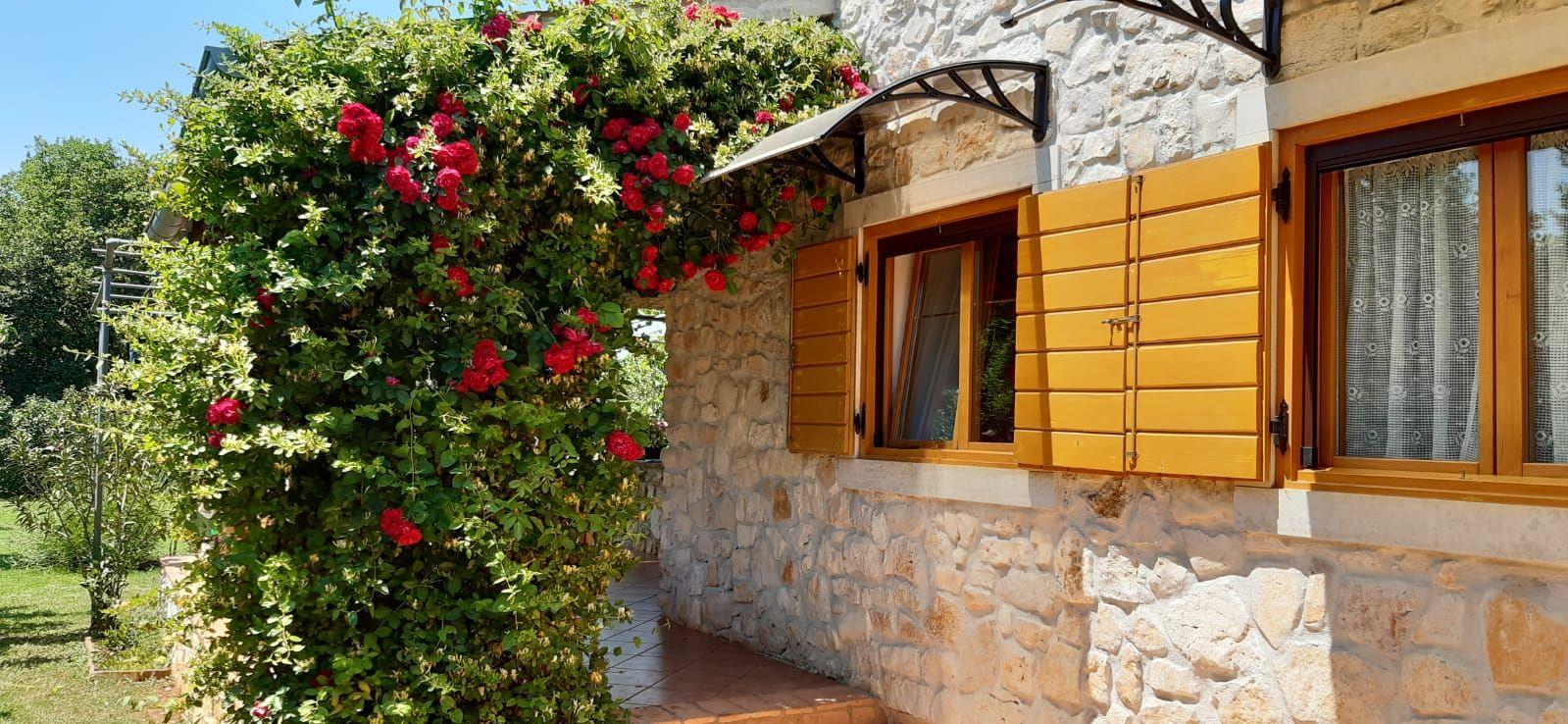 Ferienhaus mit schön angelegtem Garten mit Ol Ferienhaus in Istrien