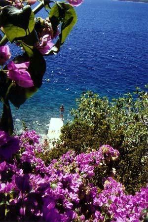 Ferienwohnung mit Panorama-Meerblick vom privaten  Ferienhaus in Dalmatien
