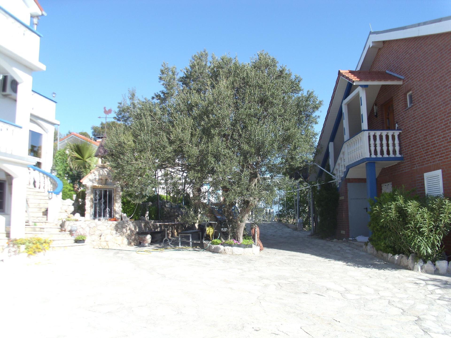 Ferienwohnung für vier Personen mit Terrasse  Ferienhaus in Dalmatien
