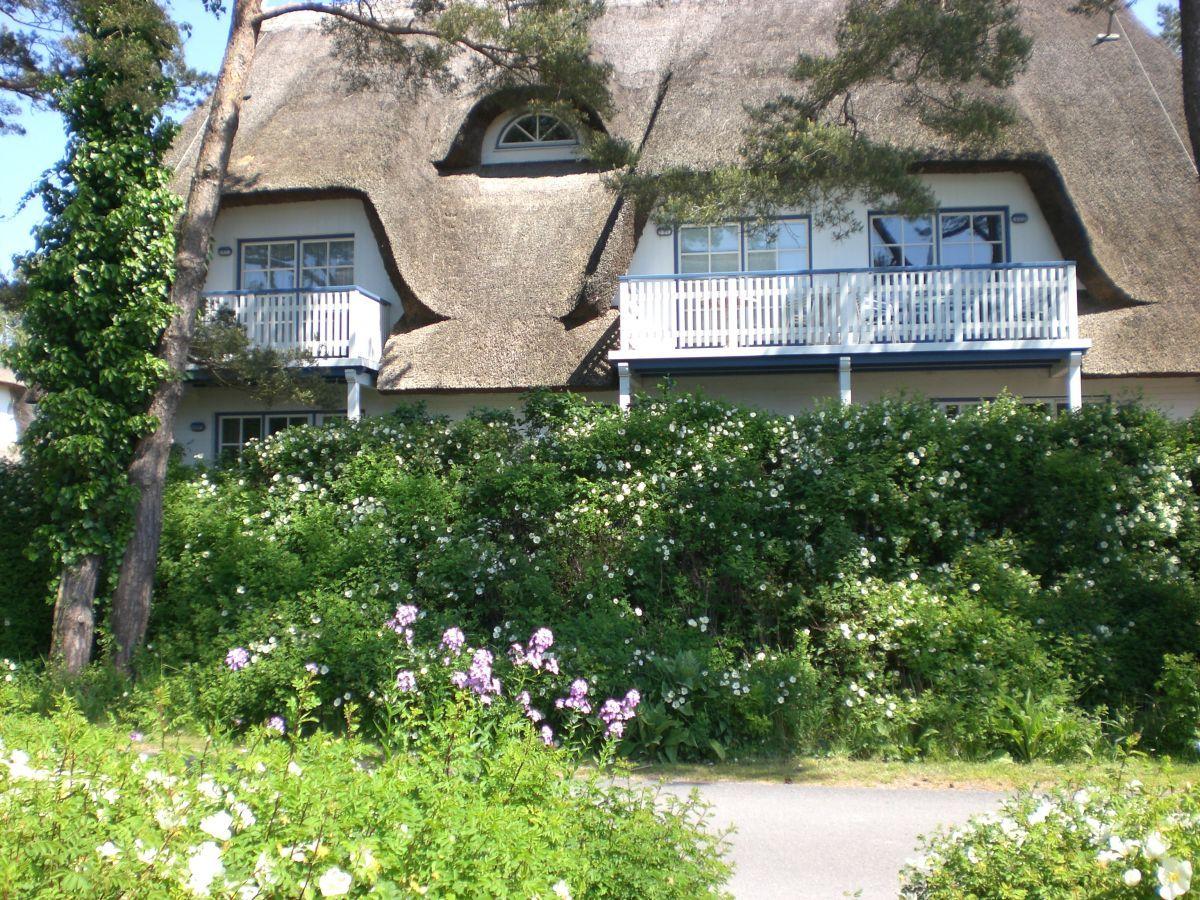 Appartement in Zingst mit Möblierter Terrasse Ferienwohnung  Mecklenburger Ostseeküste