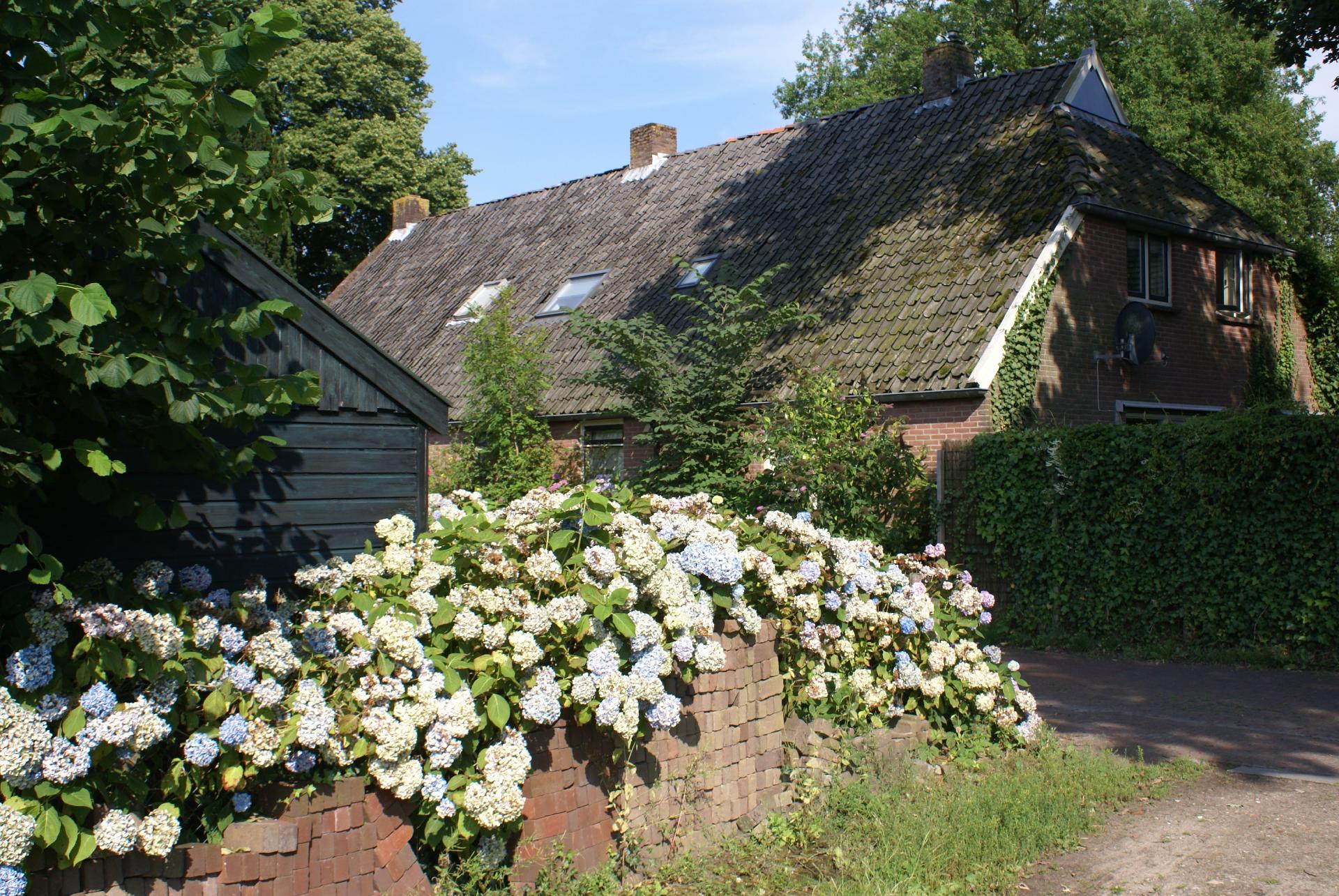 Ferienhaus in Diever mit Garten, Terrasse und Gril Ferienhaus in den Niederlande