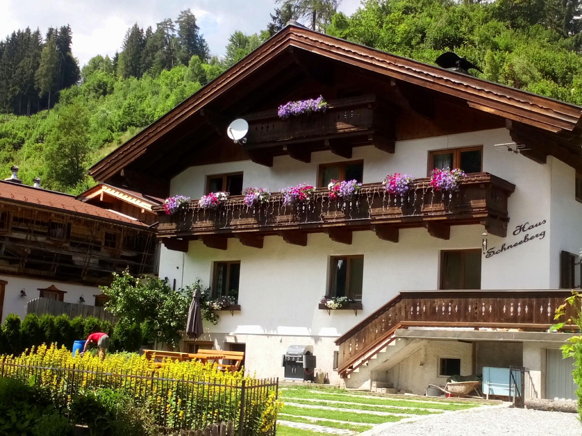 Haus Schneeberg, Wohnung Hochkeil für bis zu  Ferienwohnung  Salzburger Land