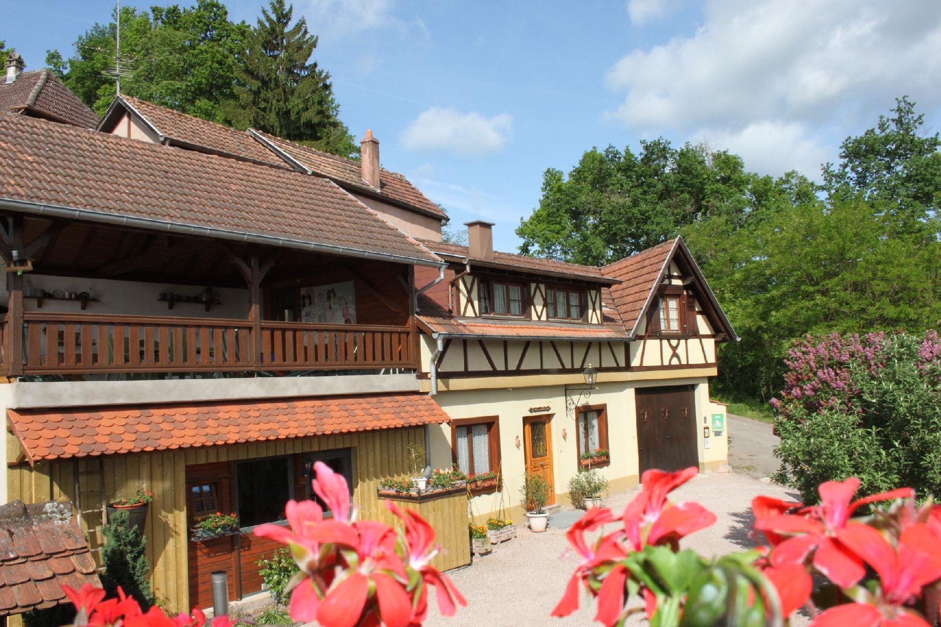 Haus im elsässischen Weinberg in der Näh Ferienhaus in Europa