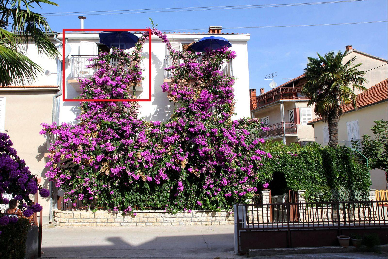 Appartement in Biograd Na Moru mit Eigenem Balkon Ferienwohnung in Dalmatien