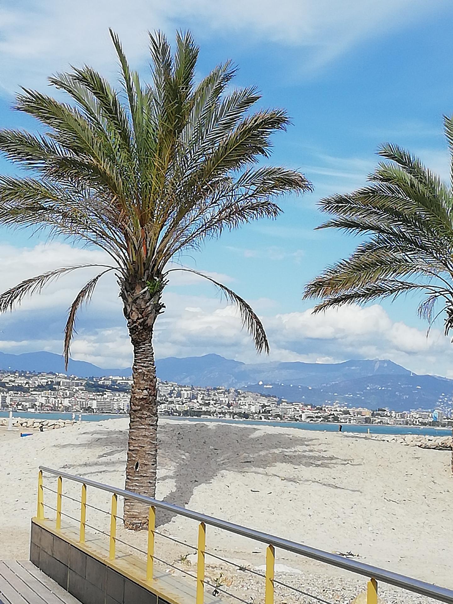 Ferienwohnung für 4 Personen ca. 92 m² i Ferienwohnung  Côte d'Azur