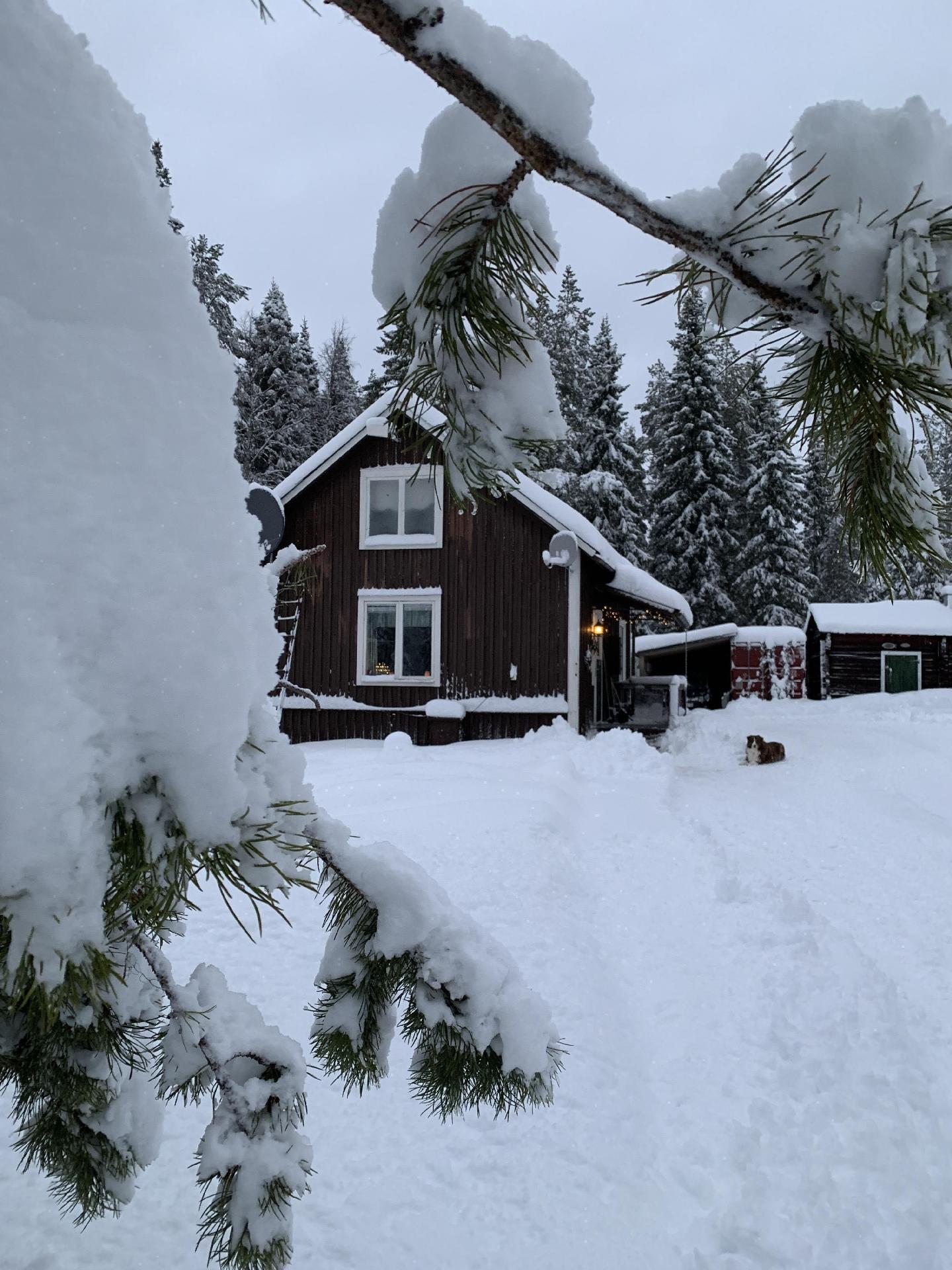 Gemütliches Ferienhaus am Polarkreis Ferienhaus in Schweden