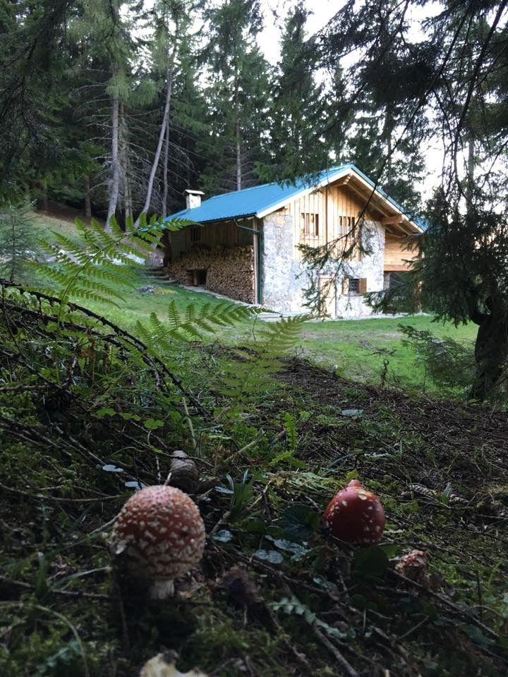 Ferienhaus in Pieve Di Bono mit Grill, Garten und   in Italien