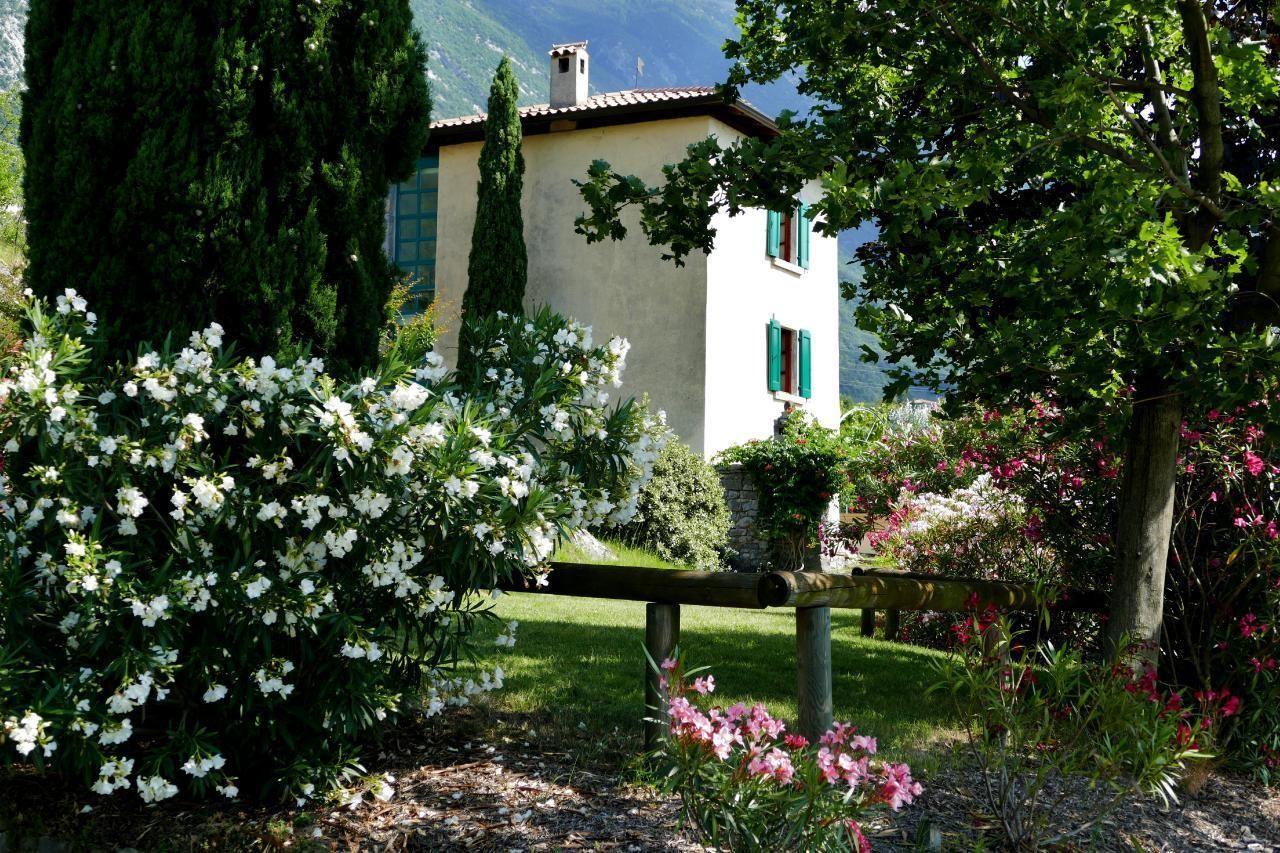 Charmantes Rustiko-Landhaus inmitten alter Olivenb  in Italien