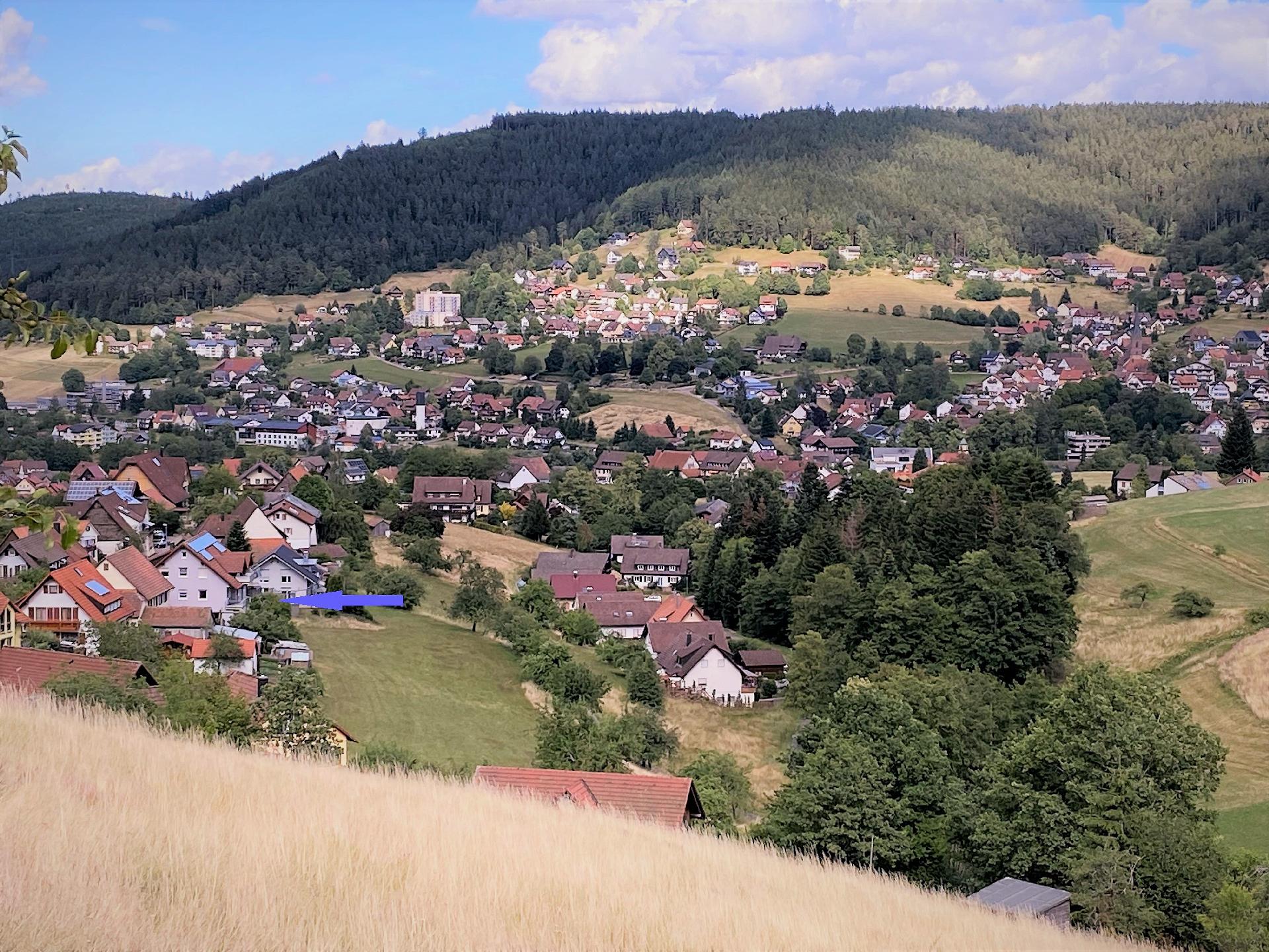 Ferienwohnung für 4 Personen ca. 67 m² i   Schwarzwald