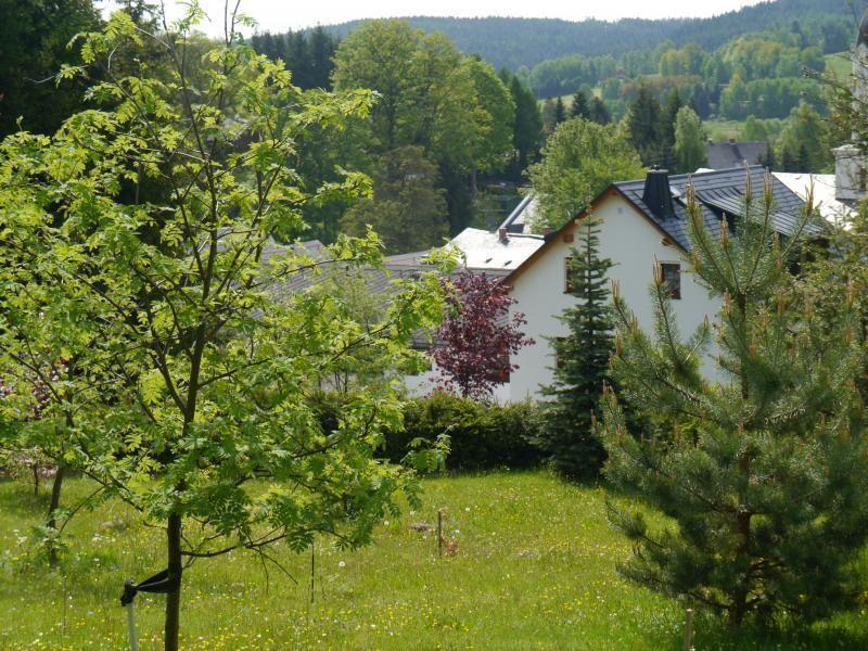 Gemütliche Wohnung in Bad Brambach mit Grill,   SÃ¤chsisches Vogtland