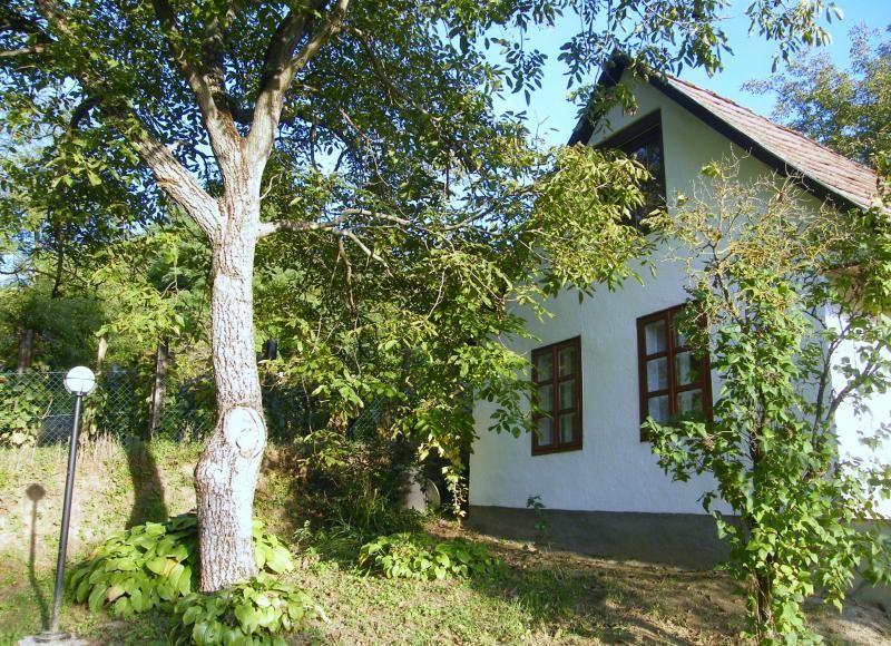 Komfortables Ferienhaus in den Weinbergen, bei abs  in Ungarn
