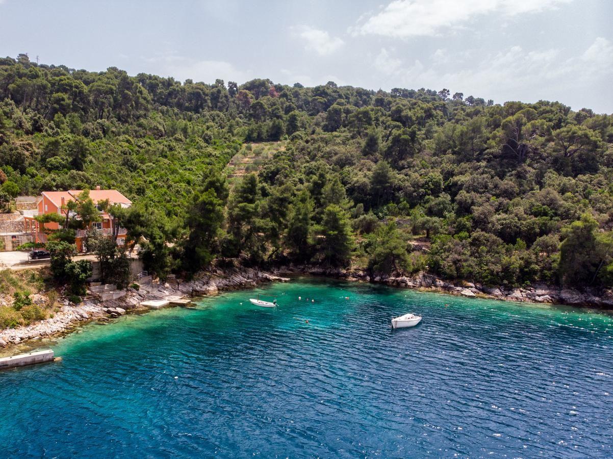 Ferienwohnung für 2 Personen ca. 50 m² i Ferienwohnung in Dalmatien