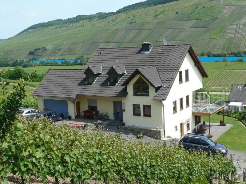 Moderne helle Ferienwohnung mit Terrasse und Mosel Ferienhaus 