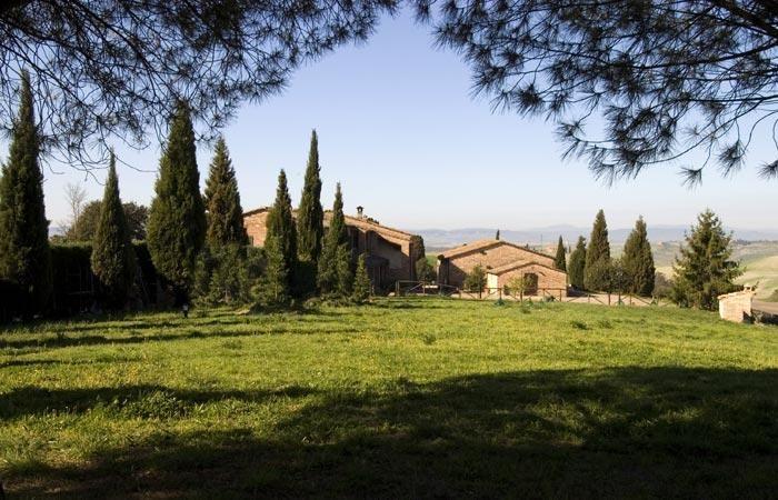 Wohnung in Asciano mit Garten und Grill Ferienhaus in Italien