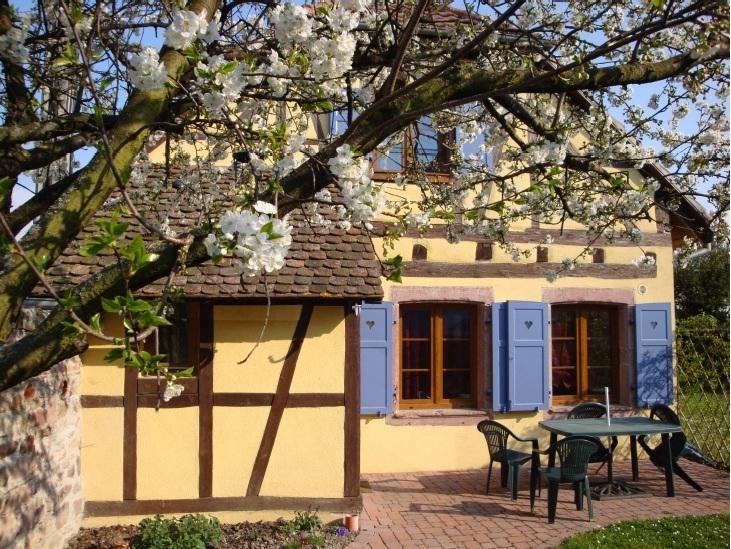 Traditionelles Fachwerkhaus mit eigener Terrasse u Ferienhaus in Frankreich