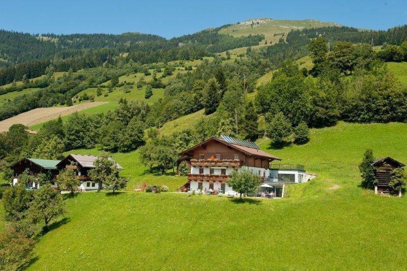 Appartement in Maierhofen mit Großer Terrass   Salzburger Land