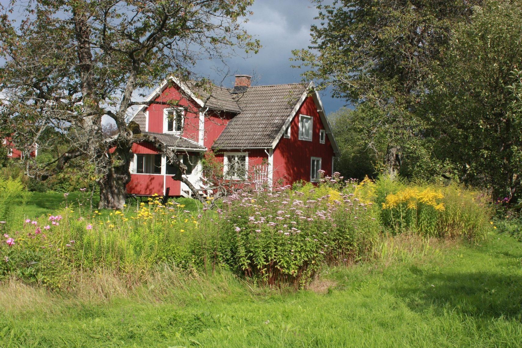 Schönes Ferienhaus in Småland mit Sauna Ferienhaus 