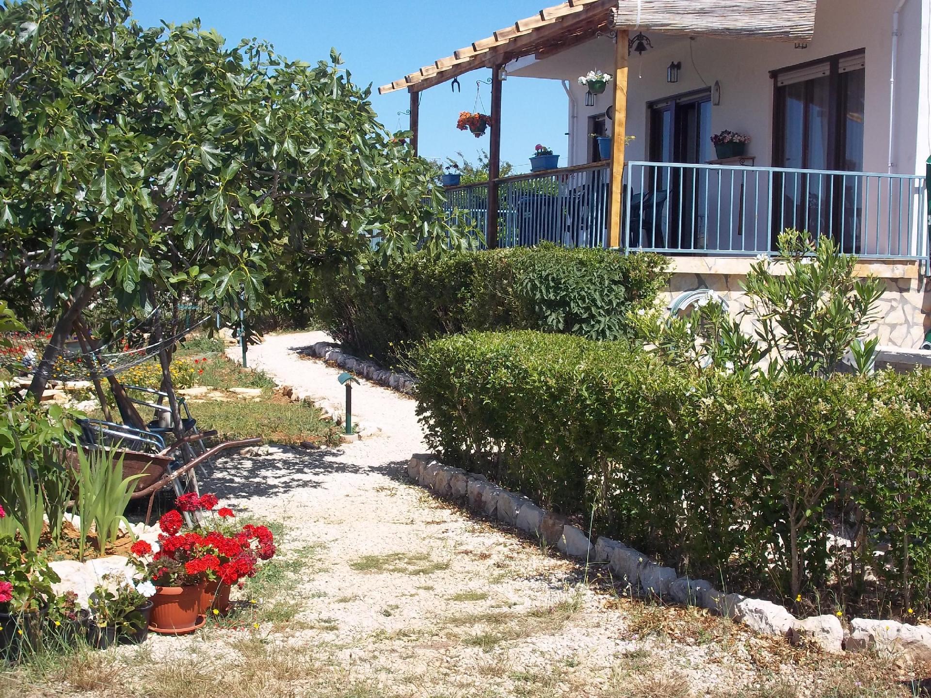 Ferienhaus mit Terrasse und Garten, etwas auß Ferienhaus in Dalmatien