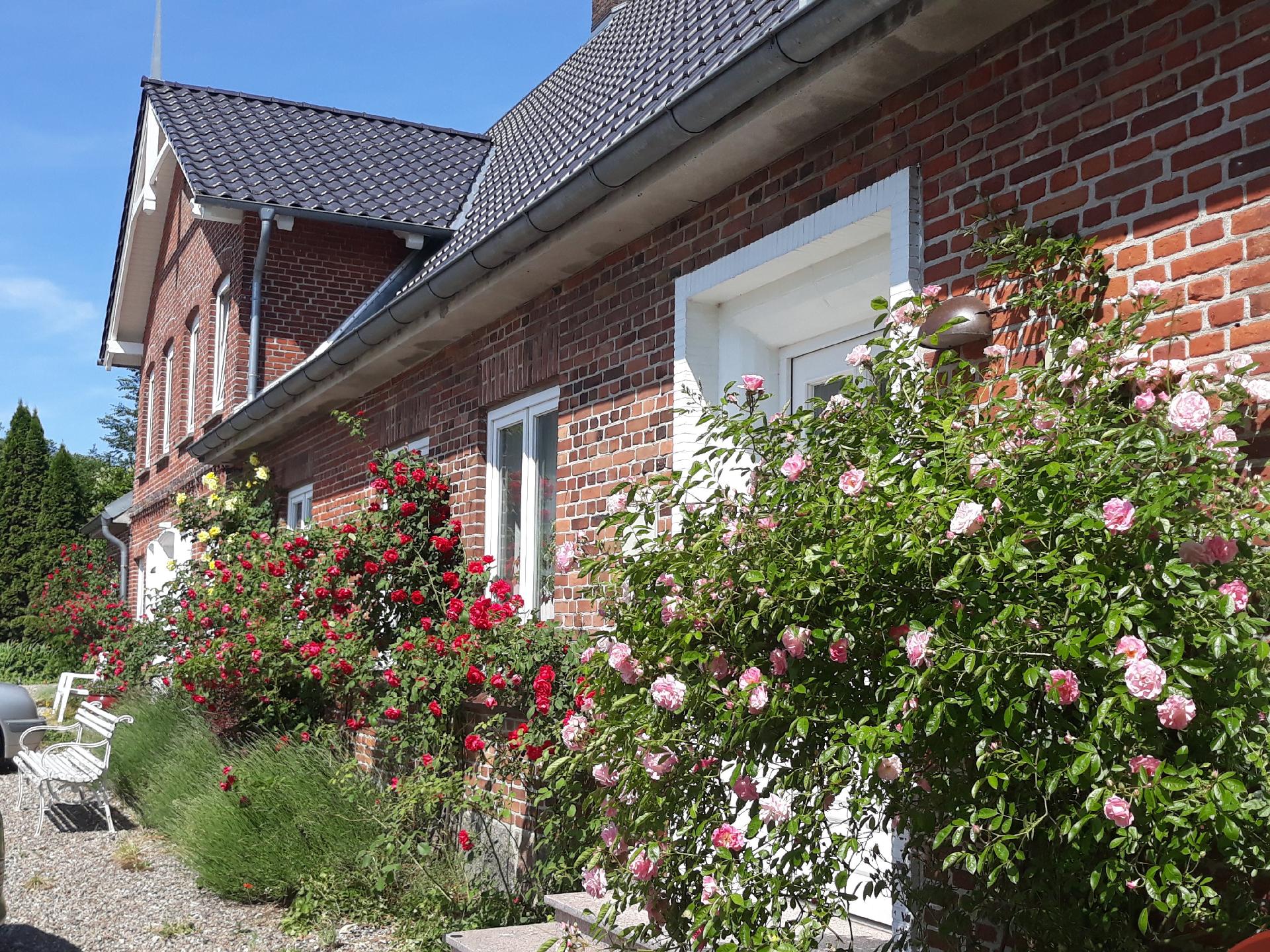 Ferienwohnung in Stoltebüll mit Kleiner Terra Ferienhaus in Schleswig Holstein