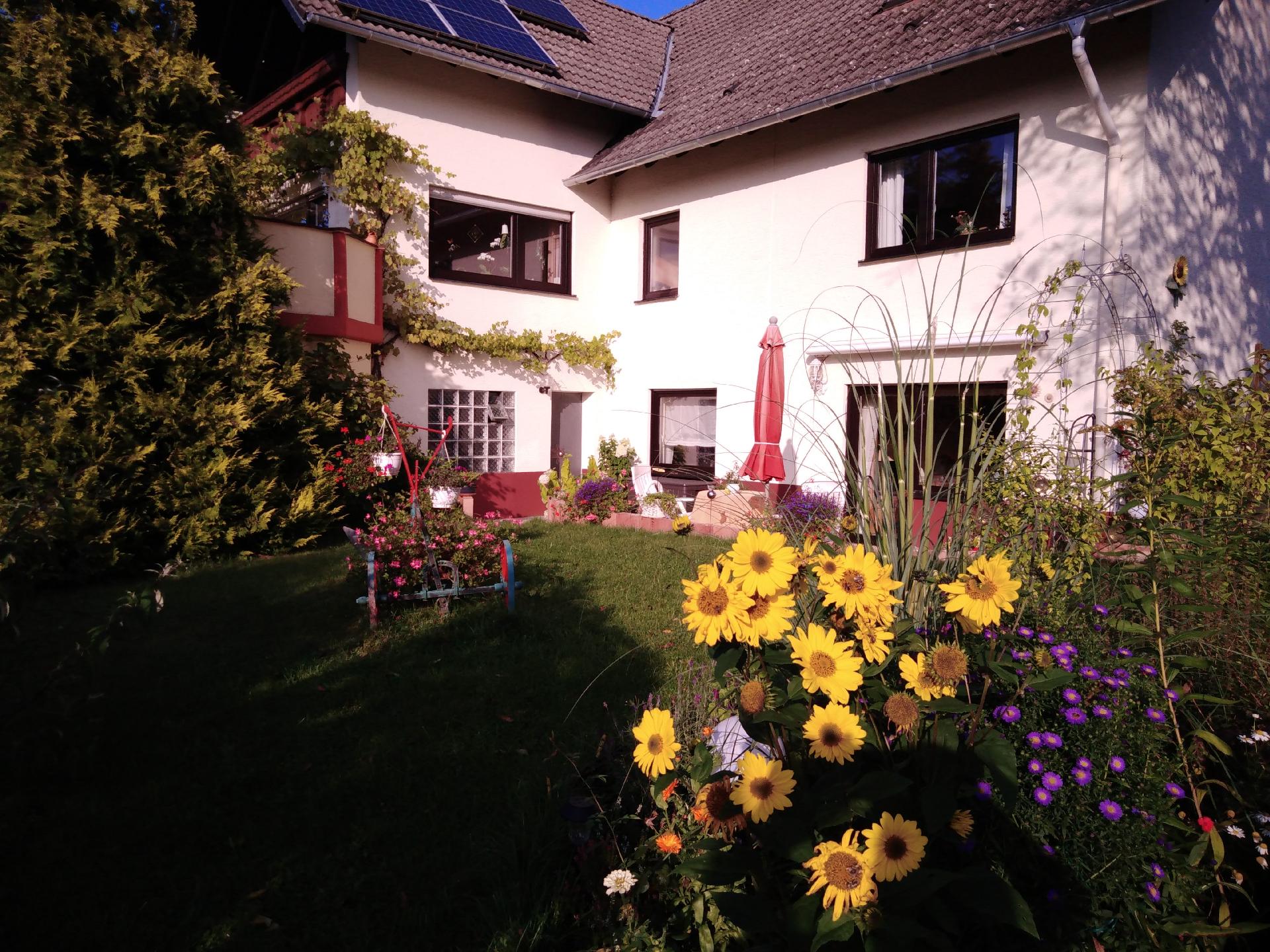 Wohnung in Boverath mit Finnischer Sauna Ferienhaus  Eifel Rheinland Pfalz